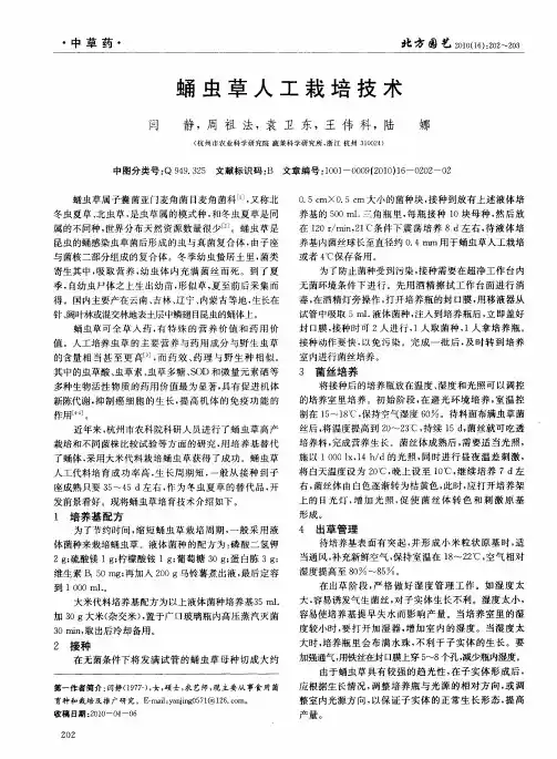 蛹虫草人工栽培技术