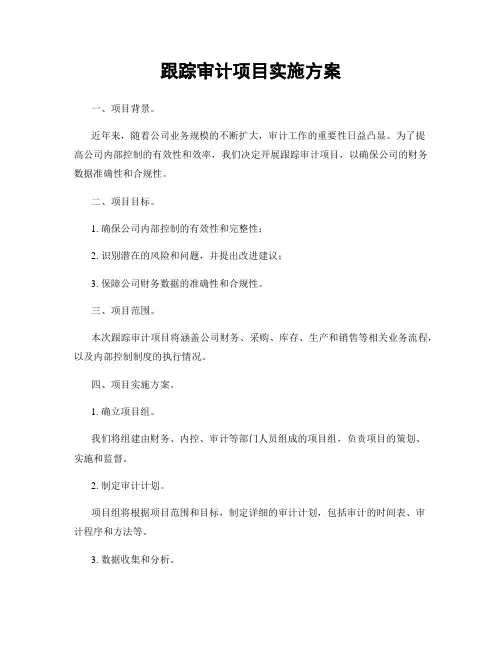 跟踪审计项目实施方案