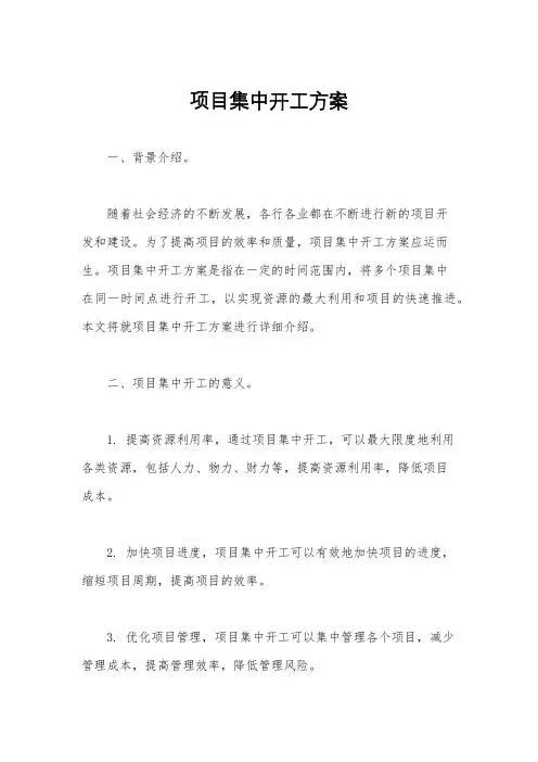 项目集中开工方案