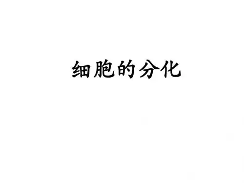 生物：4.2《细胞的分化》课件(浙科版必修1)