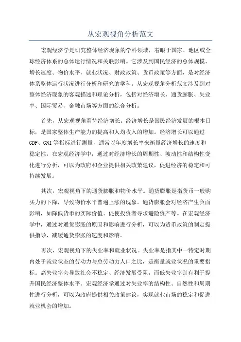 从宏观视角分析范文