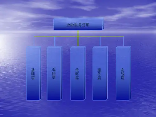 金融服务营销策略精品文档