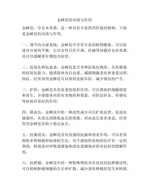 金蝉花的功效与作用