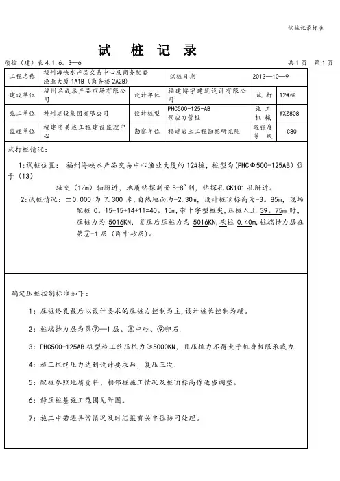 试桩记录标准