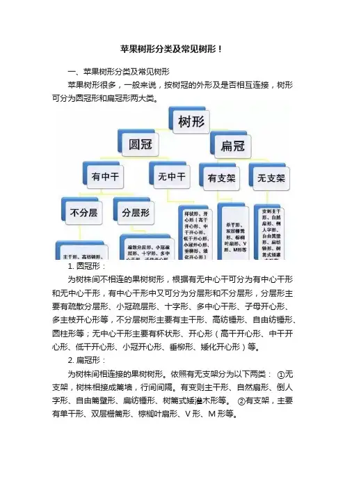 苹果树形分类及常见树形！