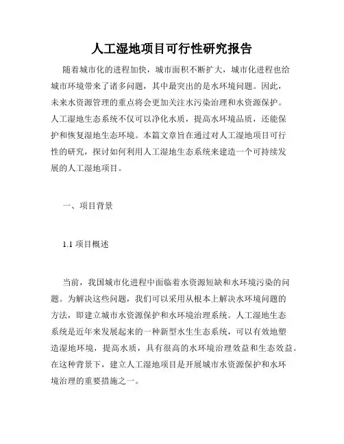 人工湿地项目可行性研究报告
