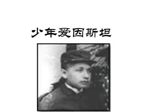九年级语文少年爱因斯坦(中学课件201909)
