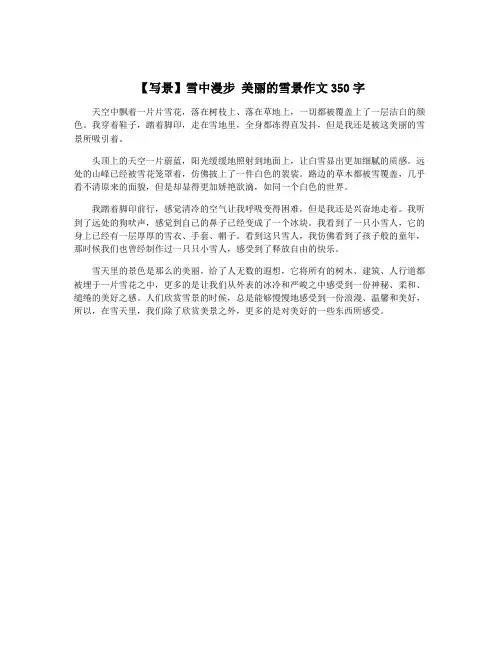 【写景】雪中漫步 美丽的雪景作文350字