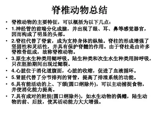 20脊椎动物总结
