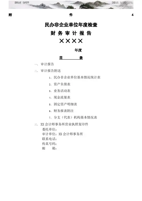 民办非企业单位年度检查财务审计报告模板