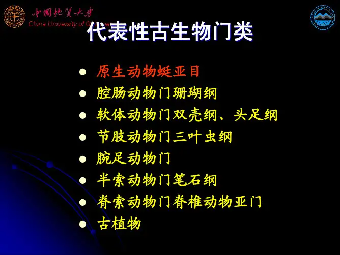 中文06蜓类