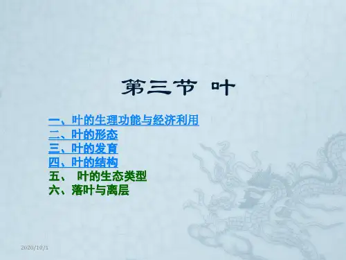 大学植物学叶讲述