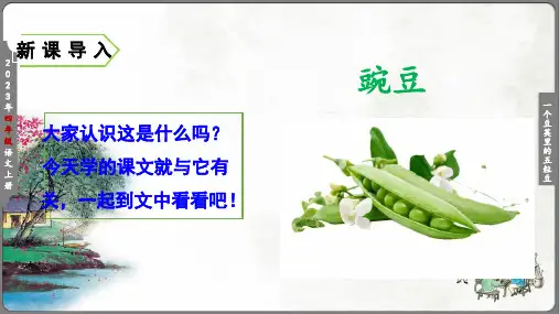 五年级一个豆荚里的五粒豆(共59张PPT)