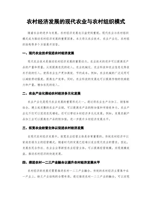 农村经济发展的现代农业与农村组织模式