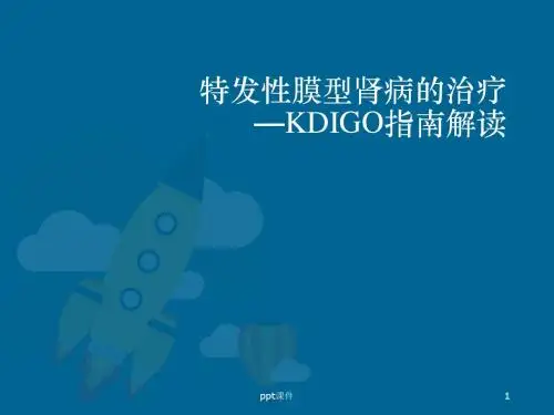 特发性膜型肾病的治疗  ppt课件