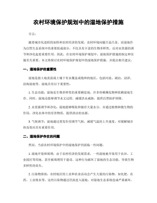 农村环境保护规划中的湿地保护措施