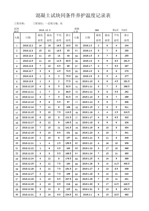 600℃砼试块同条件养护温度记录