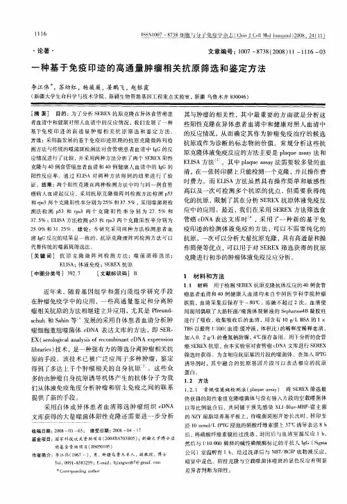 一种基于免疫印迹的高通量肿瘤相关抗原筛选和鉴定方法