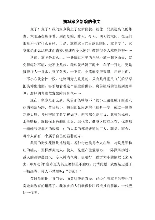 描写家乡新貌的作文范文