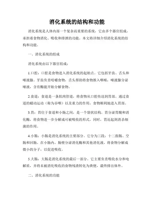 消化系统的结构和功能