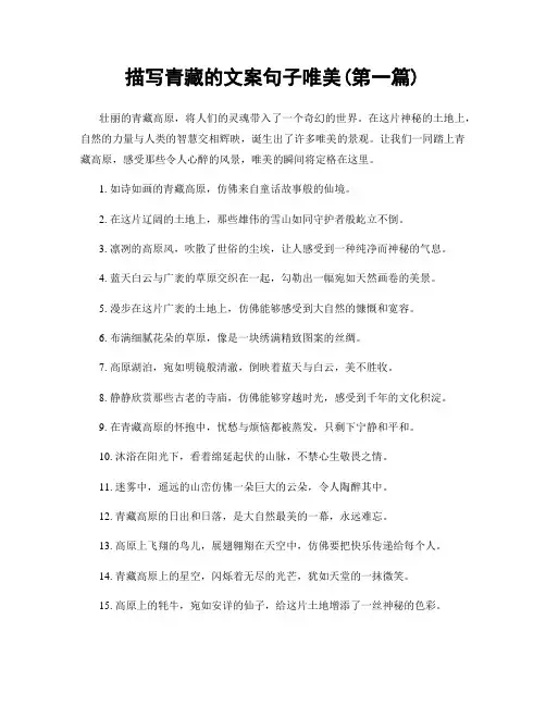 描写青藏的文案句子唯美(精选合集两篇)