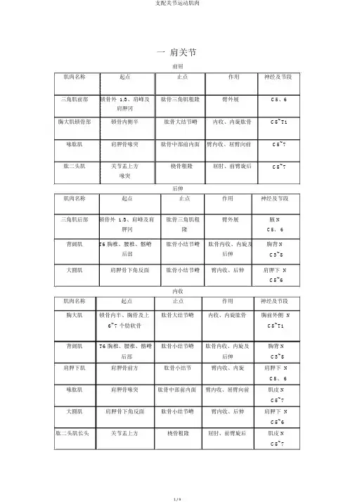 支配关节运动肌肉
