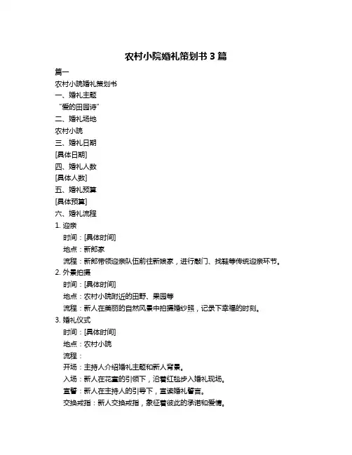 农村小院婚礼策划书3篇