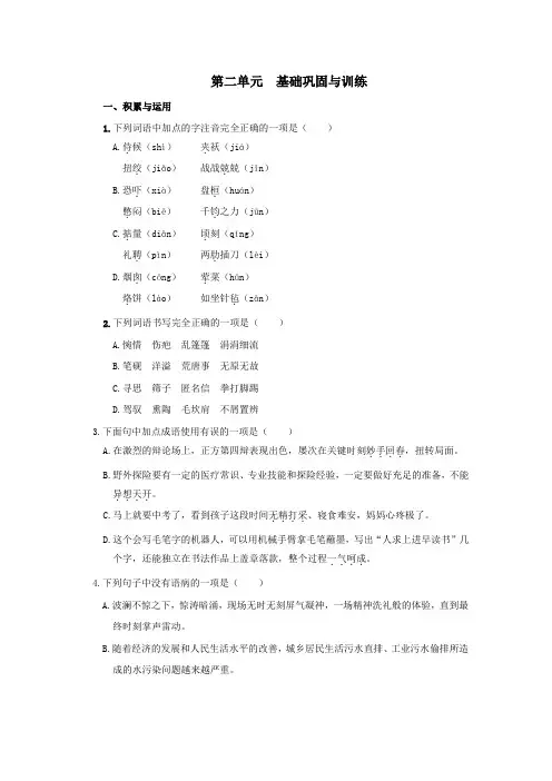 第二单元  基础巩固与训练(含答案)