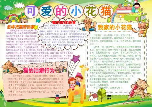 可爱的小花猫电子小报模板动物观察日记作文手抄报生活中的科普知识简报探索创新自然模板动植物知识板报A3
