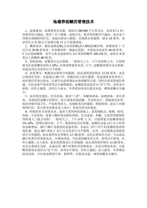 池塘养泥鳅的管理技术