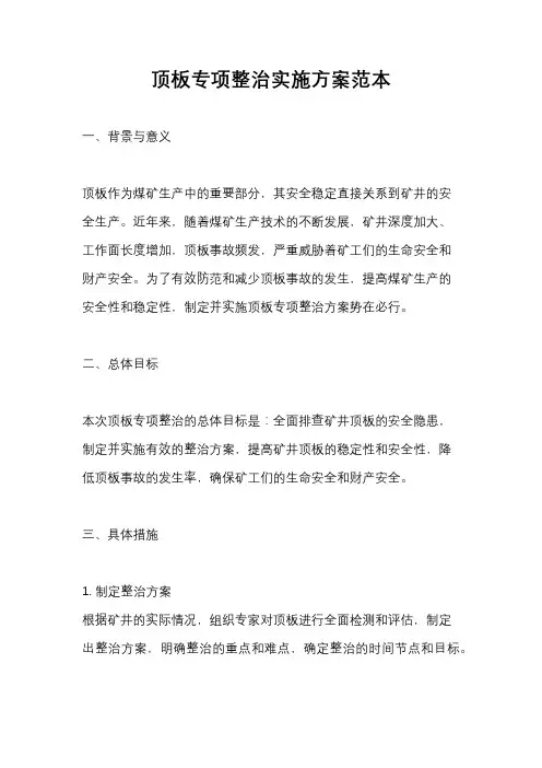 顶板专项整治实施方案范本