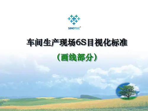 车间5S目视化执行标准(划线)解读