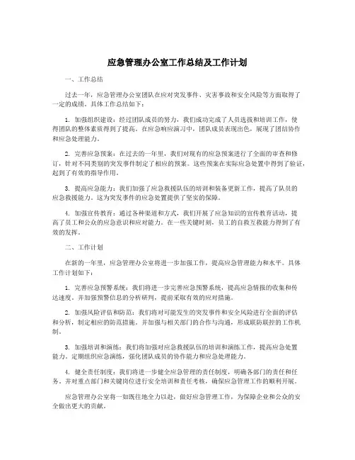 应急管理办公室工作总结及工作计划