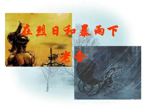 苏教版九年级语文(上)《在烈日和暴雨下》课件(72张PPT)