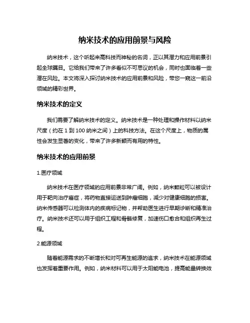 纳米技术的应用前景与风险
