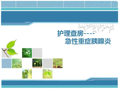 急性重症胰腺炎护理PPT课件