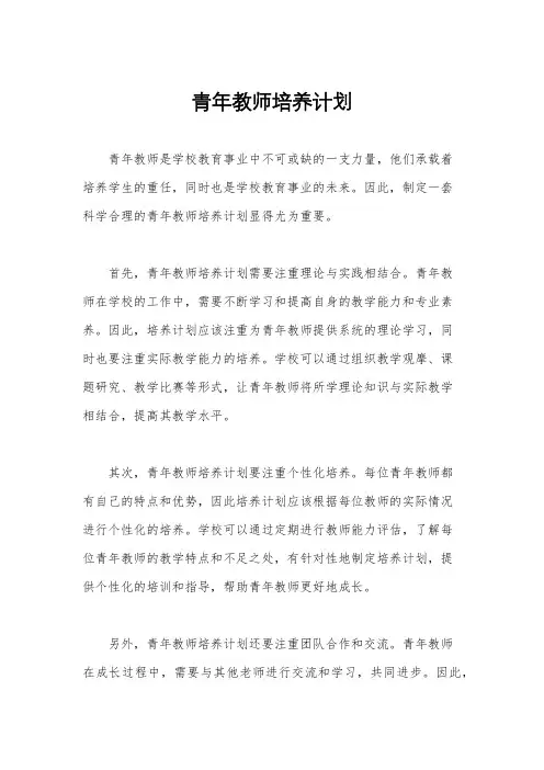 青年教师培养计划
