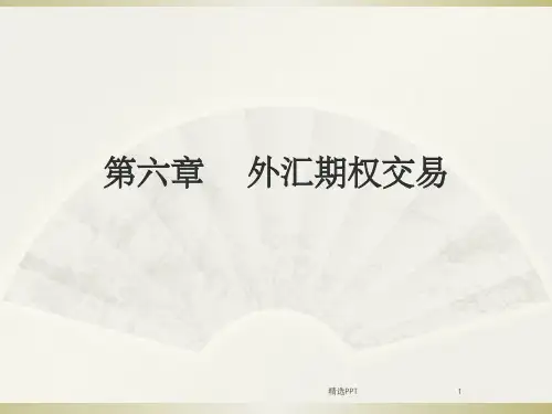 《外汇期权交易》PPT课件 (2)