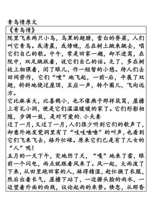 青鸟情原文