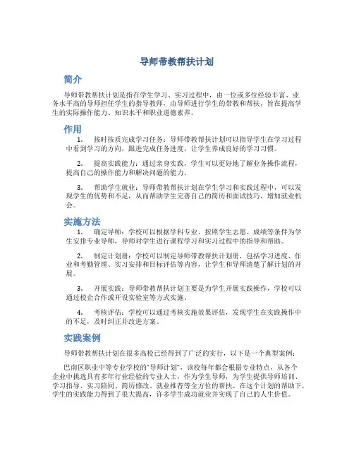导师带教帮扶计划
