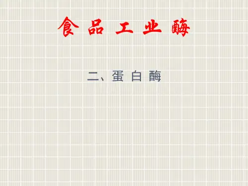 62蛋白酶
