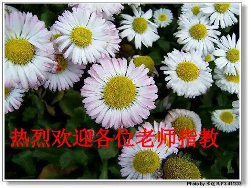与尹师鲁第一书