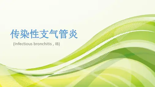 【禽类传染病】传染性支气管炎