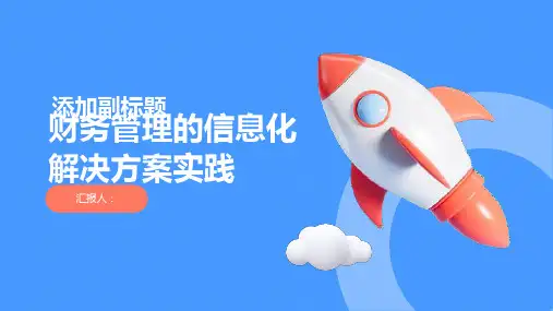 财务管理的信息化解决方案实践