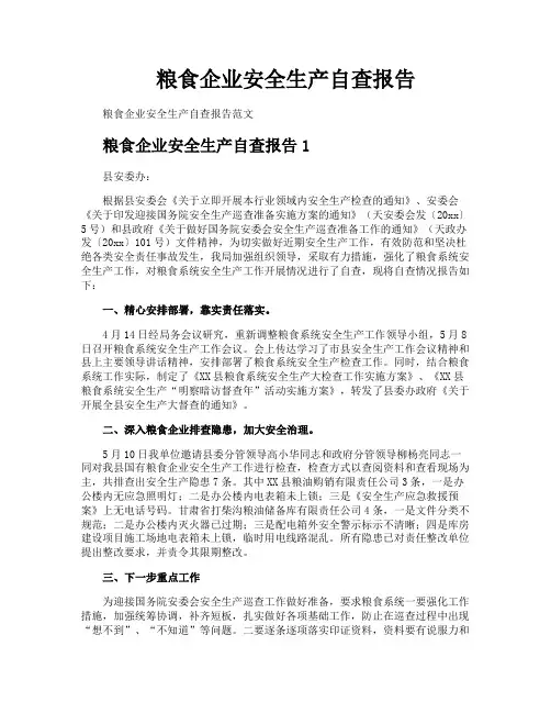 粮食企业安全生产自查报告