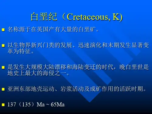 白垩纪的地层系统