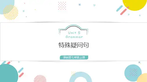 Unit5重要语法精讲(特殊疑问句)七年级上册英语单元核心知识过(牛津译林版)