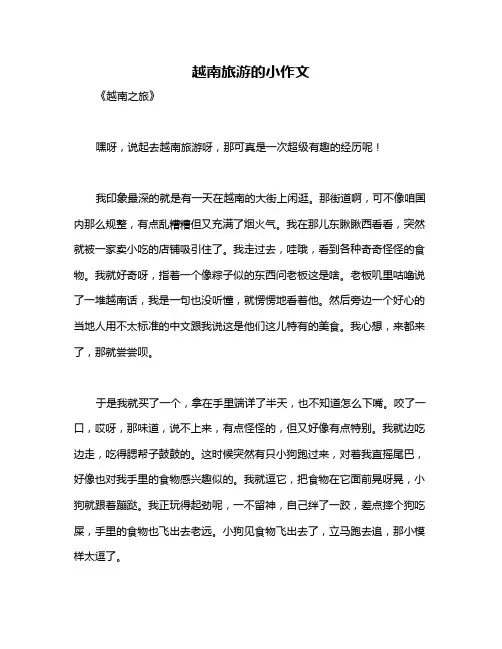 越南旅游的小作文