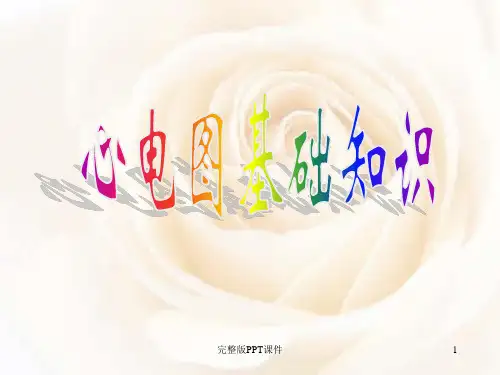 心电图基础知识ppt课件