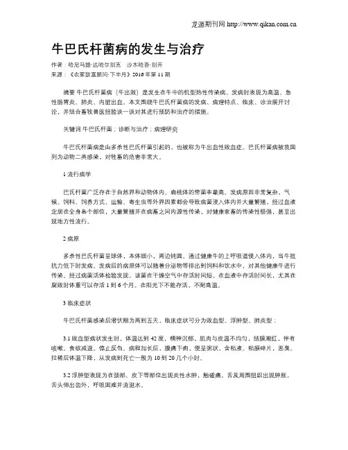 牛巴氏杆菌病的发生与治疗